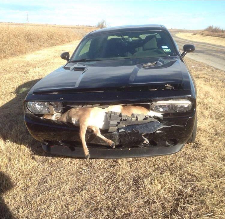 accidente-trafico