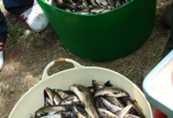 La sociedad «La Venatoria» de Santiago organiza un concurso de pesca en el río Tambre