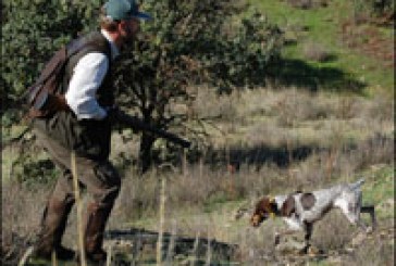 Una sentencia declara ilegal la media veda en Castilla-La Mancha