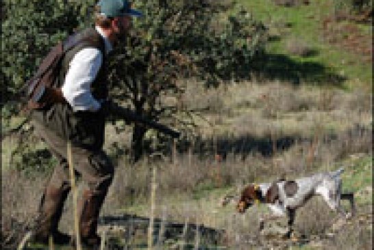 Los cazadores navarros ya conocen sus períodos hábiles de caza