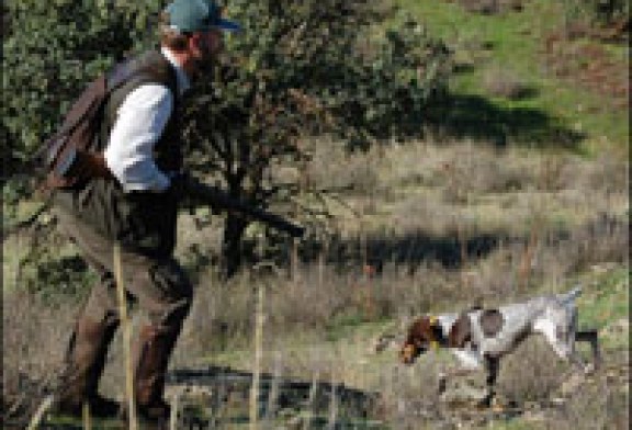 Los cazadores navarros ya conocen sus períodos hábiles de caza