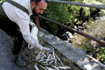 Los pescadores gallegos de Melide celebran hoy su encuentro anual