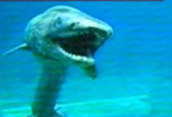 Pescadores japoneses han hallado un extraño tiburón prehistórico