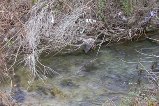 Pescadores aragoneses denuncian el mal estado de sus embalses y ríos