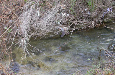 Pescadores aragoneses denuncian el mal estado de sus embalses y ríos