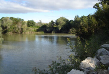 Mil voluntarios se implicaron el pasado año para cuidar los ríos de Navarra