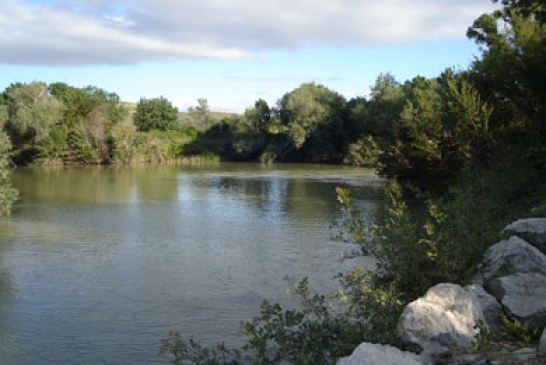 El río Arga celebrará su XIV Concurso de Pesca de Agua Dulce el próximo día 28