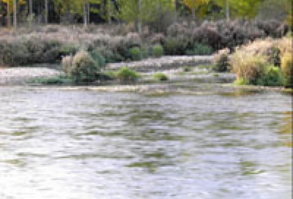 El río ??rbigo y sus truchas esperan la Concentración Nacional de Salmónidos Mosca