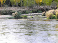 El río ??rbigo y sus truchas esperan la Concentración Nacional de Salmónidos Mosca