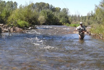 La pesca de la trucha en las dos regiones salmonícolas se abrirá el 1 de abril y el 1 de mayo