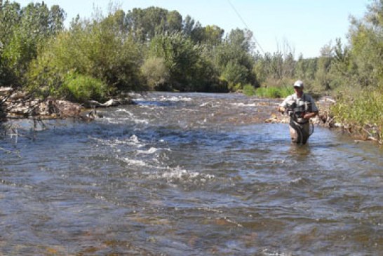 La pesca de la trucha en las dos regiones salmonícolas se abrirá el 1 de abril y el 1 de mayo