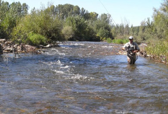 La pesca de la trucha en las dos regiones salmonícolas se abrirá el 1 de abril y el 1 de mayo