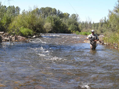 La pesca de la trucha en las dos regiones salmonícolas se abrirá el 1 de abril y el 1 de mayo