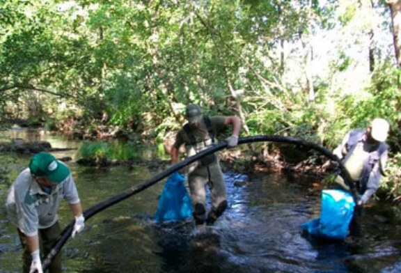 La Asociación de Trucheros río Furelos celebra sus ya conocidas jornadas de limpieza