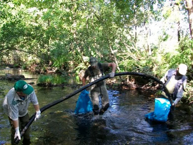 La Asociación de Trucheros río Furelos celebra sus ya conocidas jornadas de limpieza