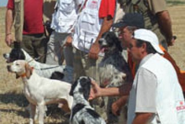 Celebrada la segunda selectiva para el Campeonato del Mundo de Perros de Muestra