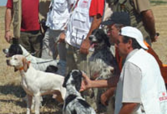 Celebrada la segunda selectiva para el Campeonato del Mundo de Perros de Muestra