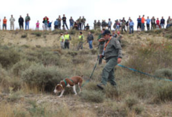 Murguia acoge este domingo la final de Euskadi de perros de rastro sobre jabalí