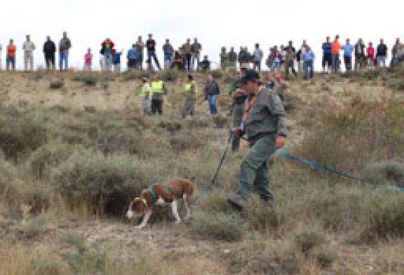 La prueba de perros de rastro sobre jabalí busca a su representante en Álava