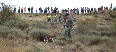 La prueba de perros de rastro sobre jabalí busca a su representante en Álava