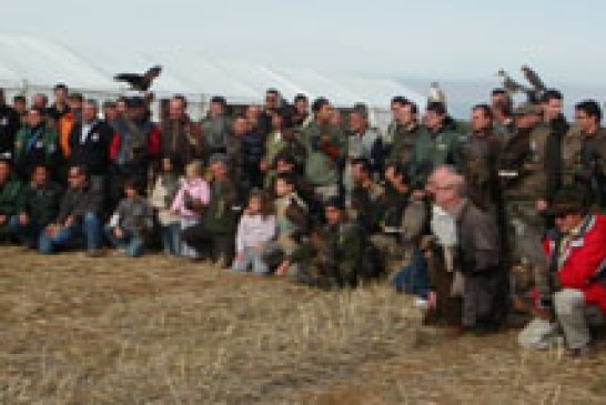 La cetrería, Patrimonio de la Humanidad, de celebración desde hoy en Osuna