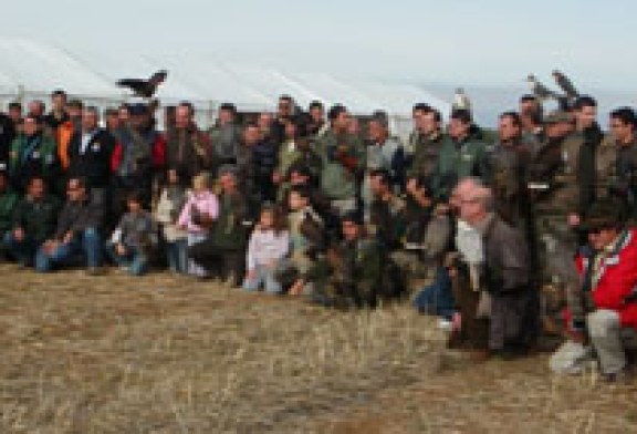 La cetrería, Patrimonio de la Humanidad, de celebración desde hoy en Osuna