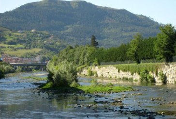 Se recupera la entrada de salmón atlántico en los ríos Oria y Urumea