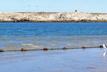 Sabor agridulce para los deportistas vascos en el mundial mar-costa de Sudáfrica