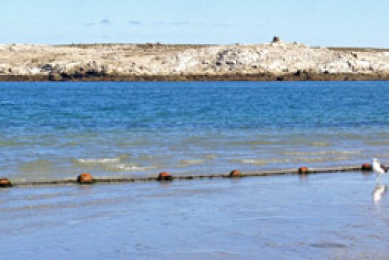 Sabor agridulce para los deportistas vascos en el mundial mar-costa de Sudáfrica