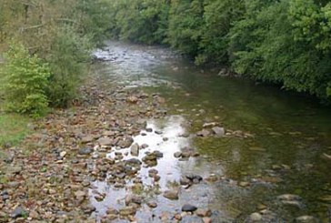 Un vertido de purines en el río Carranza contamina las aguas del Asón