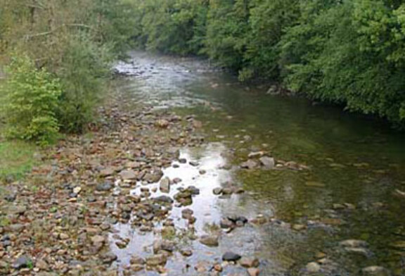 Un vertido de purines en el río Carranza contamina las aguas del Asón