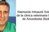 La traqueobronquitis infecciosa canina o «tos de las perreras»