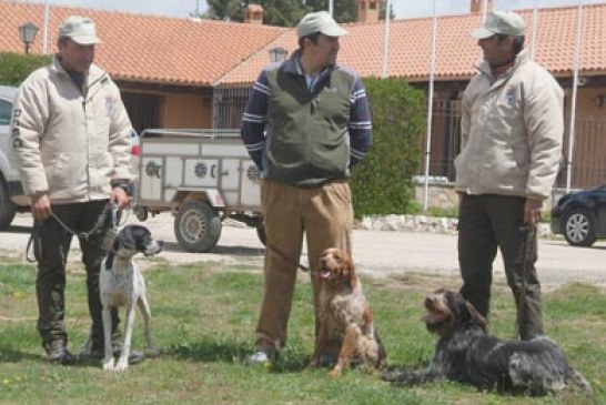 Avance del programa del «Aula Canina» de la Escuela Española de Caza para 2011