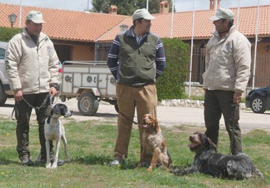 Avance del programa del «Aula Canina» de la Escuela Española de Caza para 2011