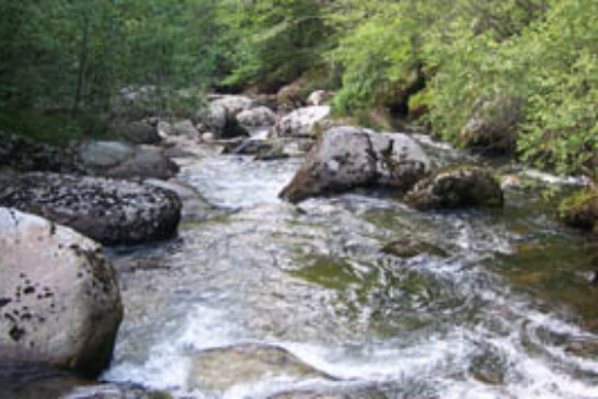 Se archiva la denuncia por el vertido de amoníaco que Froxá realizó en 2008 al río Besaya