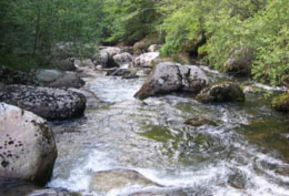 Se archiva la denuncia por el vertido de amoníaco que Froxá realizó en 2008 al río Besaya