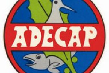 Adecap se conecta a las nuevas tecnologías a través de su nueva página web