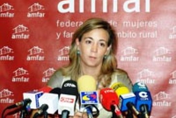 AMFAR cierra el 2010 con la satisfacción de haber hecho realidad diversos proyectos