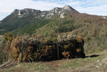 Cazadores donostiarras afirman que se sienten «perseguidos» por el Consistorio