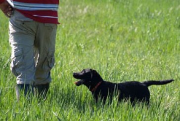 El Club de Caza de Amurrio trabaja en la creación de una zona de adiestramiento canino