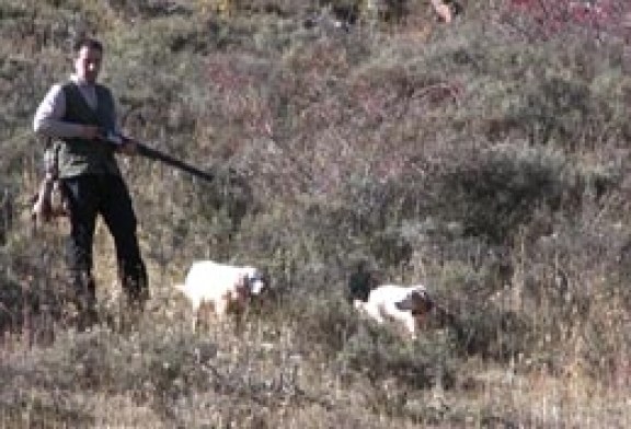 Se buscan compañeros de caza para acotado en Palazuelos de la Sierra