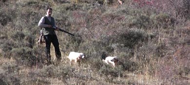 Se buscan compañeros de caza para acotado en Palazuelos de la Sierra