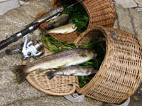 Bizkaia prevé que cerca de 9.000 pescadores participen en la campaña de este año