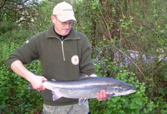 Entrada del primer salmón del año en el río Urumea