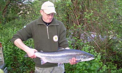Entrada del primer salmón del año en el río Urumea