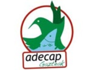 Adecap Gazteak ofrece en su web el material de estudio para el examen del cazador