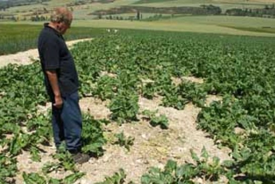 Expertos abordarán el tema de los daños a la agricultura por especie de caza mayor