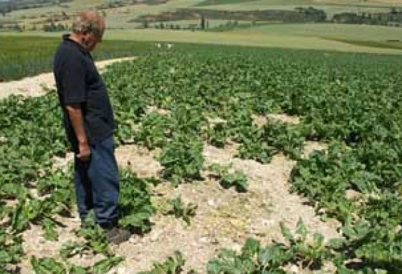 Navarra aprueba ayudas para la prevención de daños cinegéticos por 375.000 euros