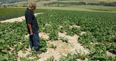 Adecana denuncia que las Sociedades se quedan sin ayuda por daños a la agricultura