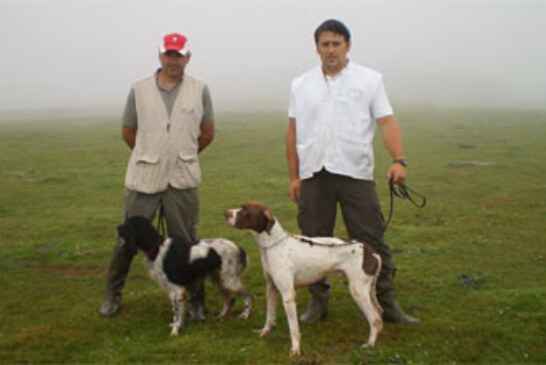 Ángel Venero con su pointer «Dakar», ganadores del regional cántabro de perros de muestra